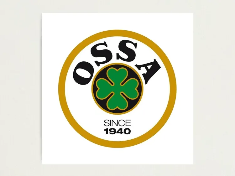 CAJA DE LUZ OSSA