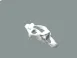 Spinal Bones