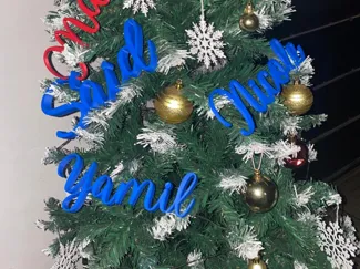 NOMBRES ARBOL DE NAVIIDAD