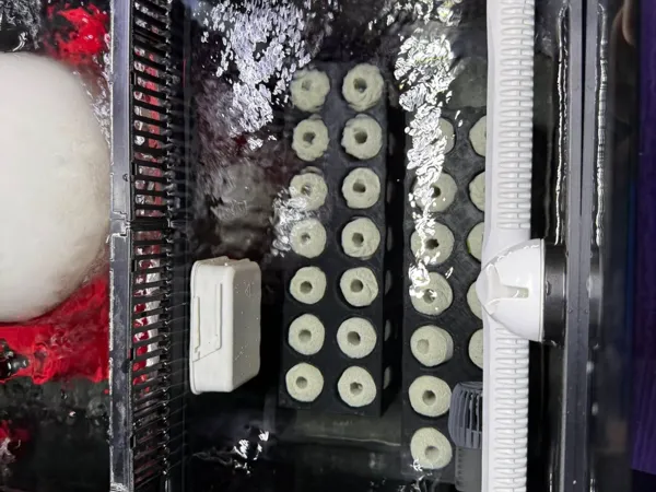 https://makerworld.bblmw.com/makerworld/model/DSM00000002002575/design/2025-11-16_5e576aa155f38.jpg