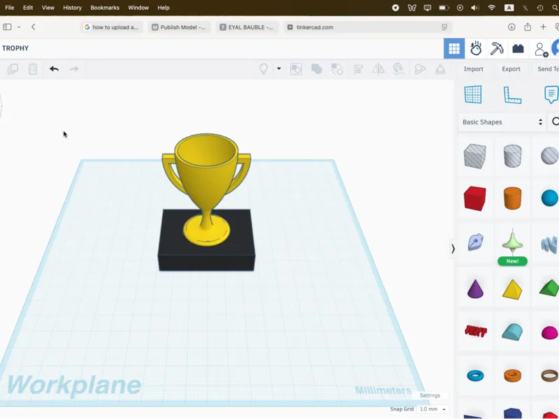 Customisable Trophy