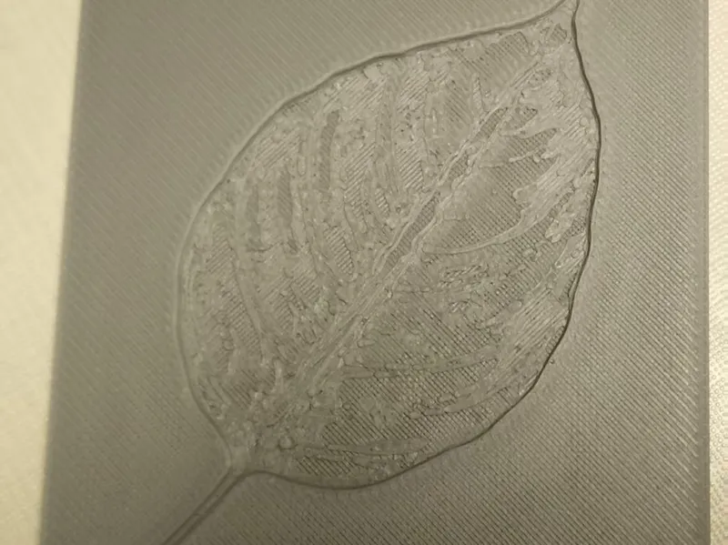 叶子浮雕