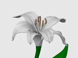 https://makerworld.bblmw.com/makerworld/model/DSM00000002005632/design/2025-11-16_789ea80b36c49.png