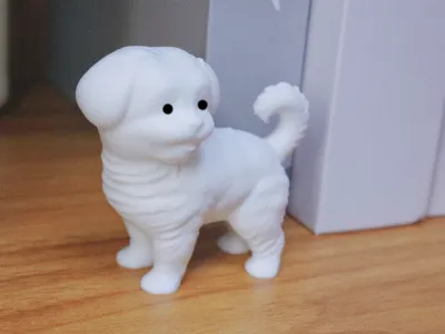 Cute puppy