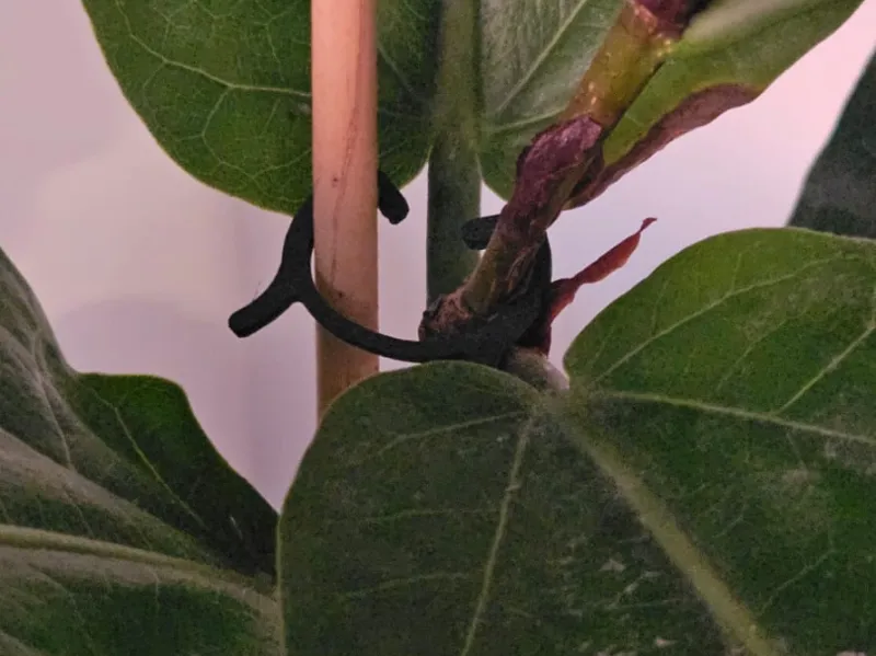 LeafLock – Smart Plant Support Clips
