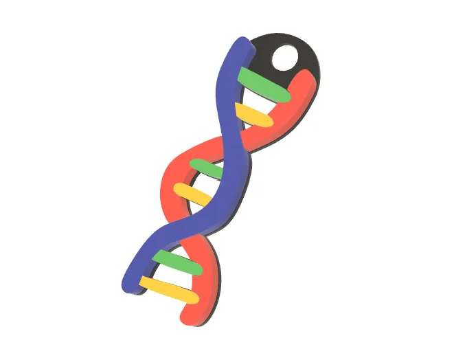DNA keychain