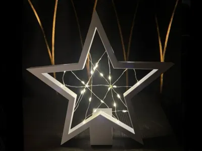 Star led rope