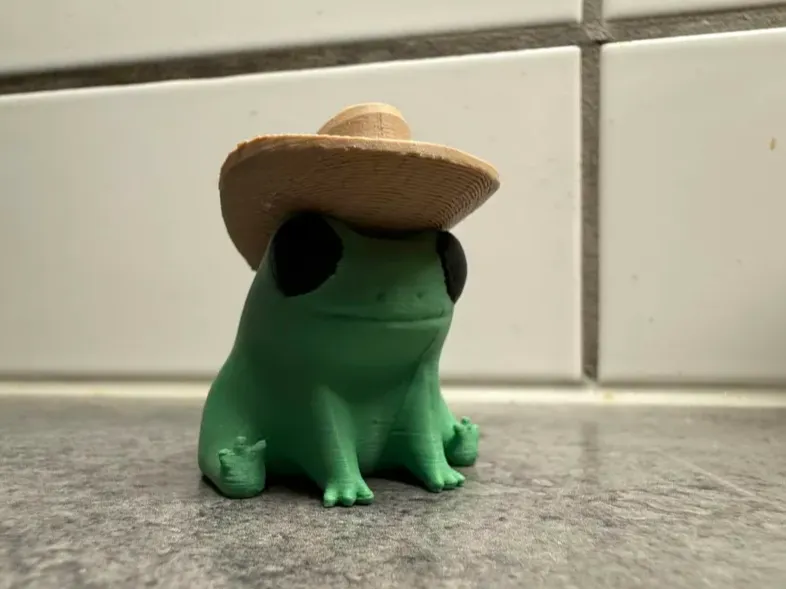 Fred The Cowboy Frog