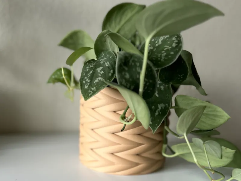 Woven Basket Planter