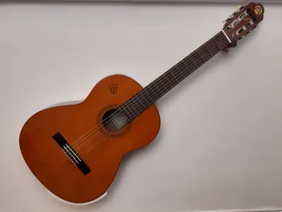 guitar wall mount