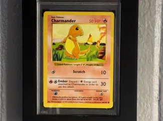 PSA Slab Display Case