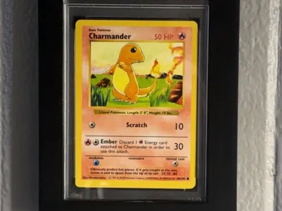 PSA Slab Display Case