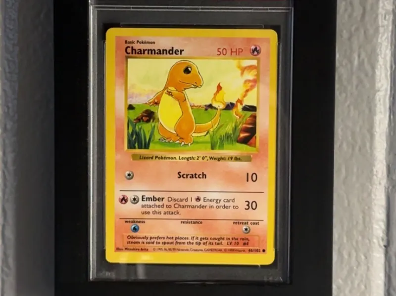 PSA Slab Display Case
