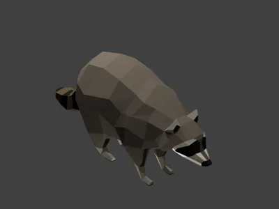 Low Poly Racoon