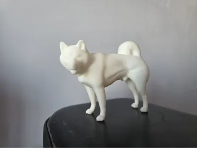 Shiba Inu Puppy Baka