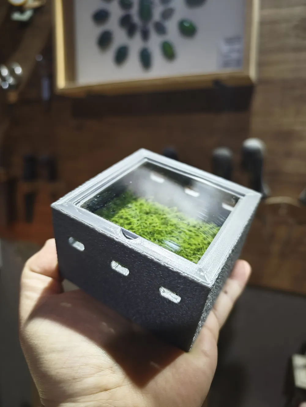 Desktop Eye-Care Moss Box, Green Plant Box by munan MakerWorld ...