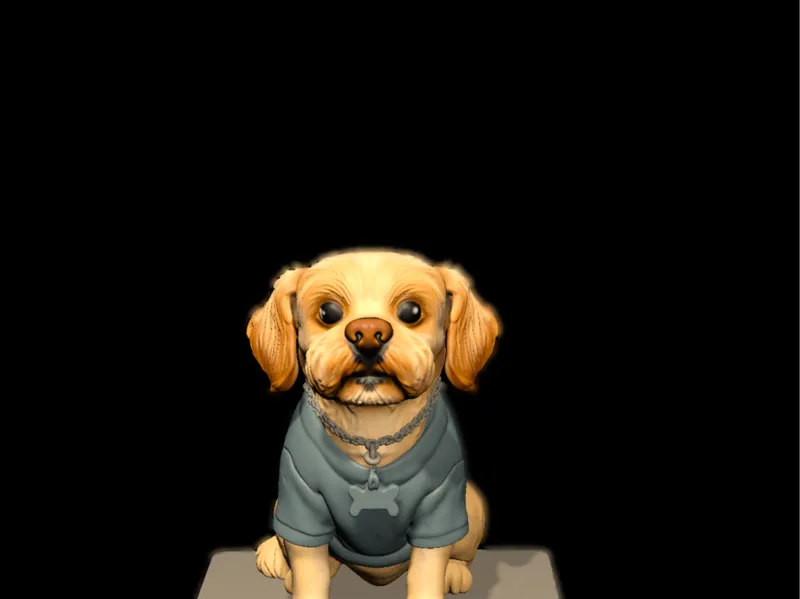 dog