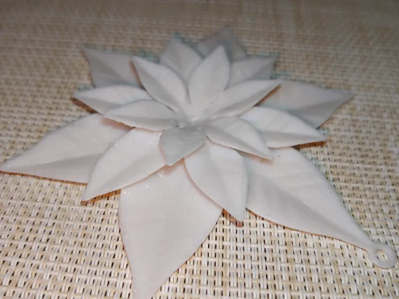 Star of Bethlehem, Christmas Star