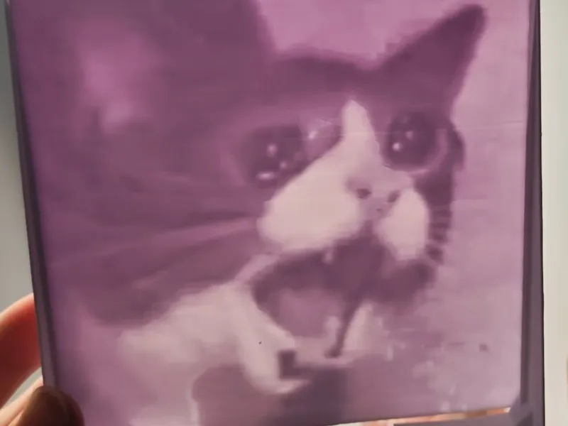 流猫猫头透光浮雕