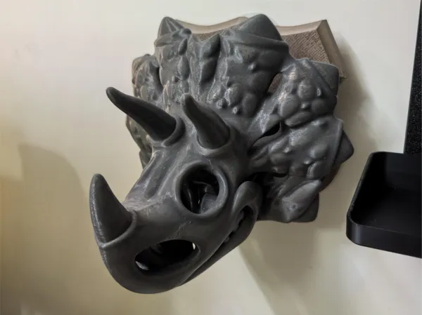 https://makerworld.bblmw.com/makerworld/model/DSM00000002014072/design/2025-11-19_49913155b4e7c8.jpg