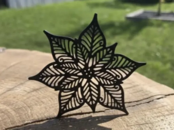 Star of Bethlehem