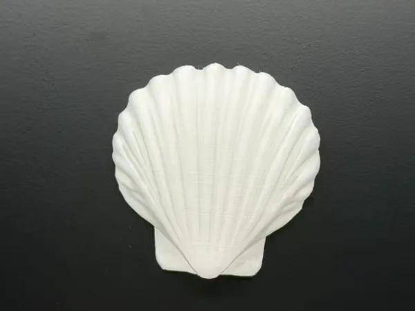 https://makerworld.bblmw.com/makerworld/model/DSM00000002014627/design/2025-11-19_661f96068fb388.jpg