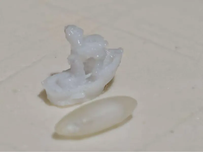 世界上最小的Benchy