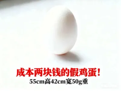Prank Fake Egg