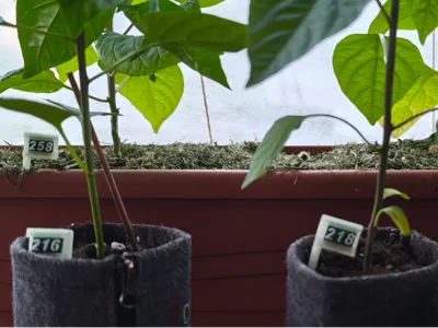 Modular Reusable Plant Number Tags