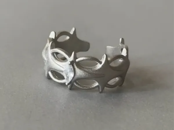 https://makerworld.bblmw.com/makerworld/model/DSM00000002017980/design/2025-11-20_5eeb09db6f346.jpg