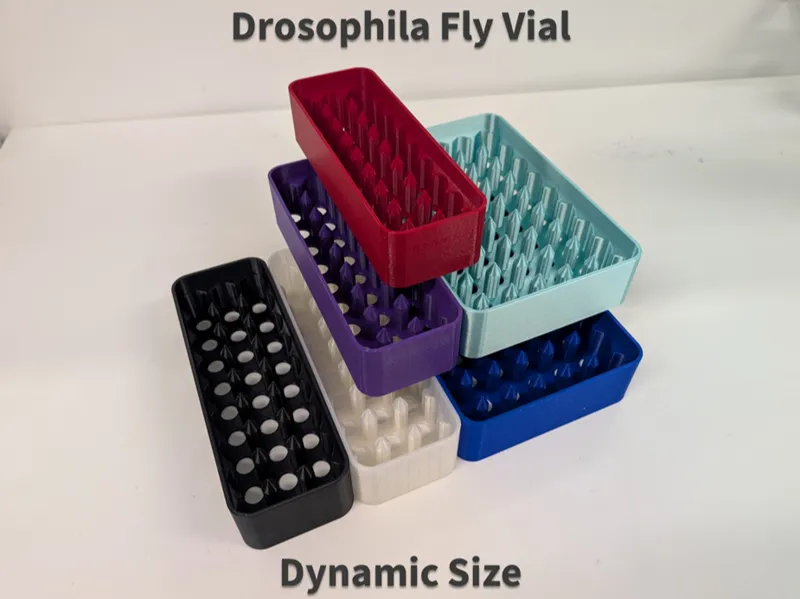 Dynamic drosophila fly vial rack