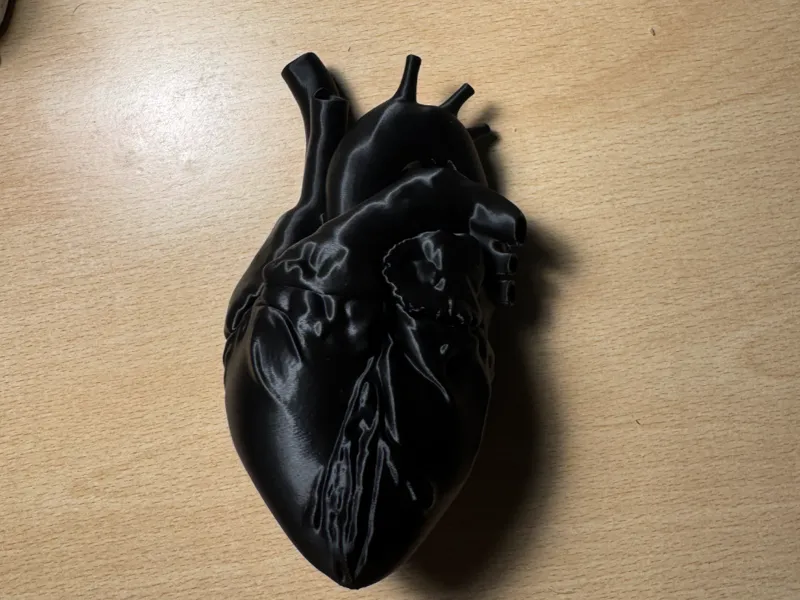 Cuore organico 