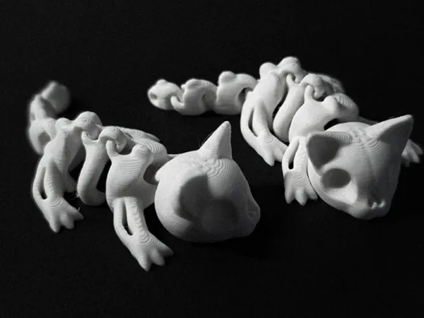 https://makerworld.bblmw.com/makerworld/model/DSM00000002018304/design/2025-11-20_86c41f6ffb665.png