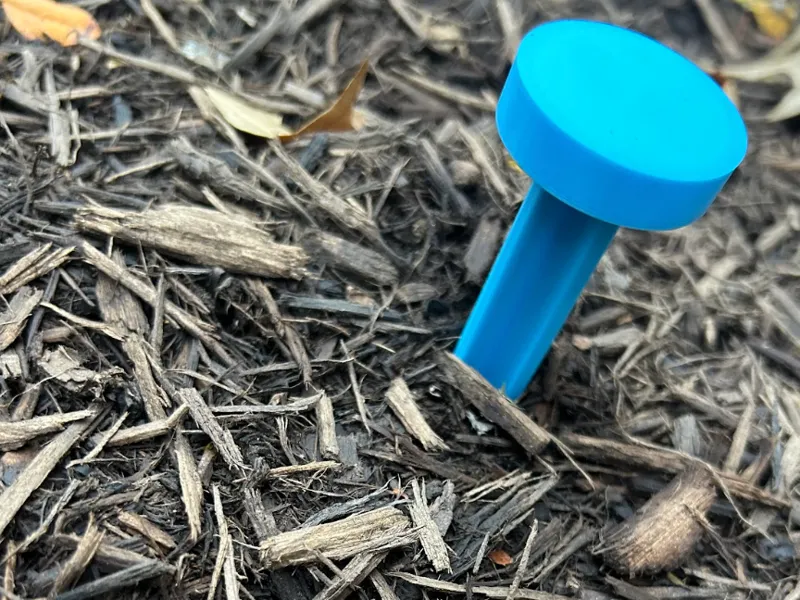 Tent Stake