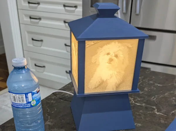 https://makerworld.bblmw.com/makerworld/model/DSM00000002021136/design/2025-11-20_f3b3fbfa2c4868.jpg