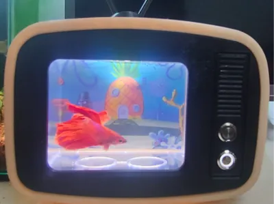 Tiny TV Fish Tank for Betta Fish