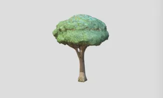 Oak Tree