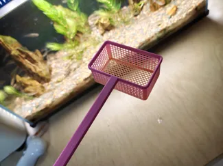 捞小鱼抄网鱼缸工具一体成型