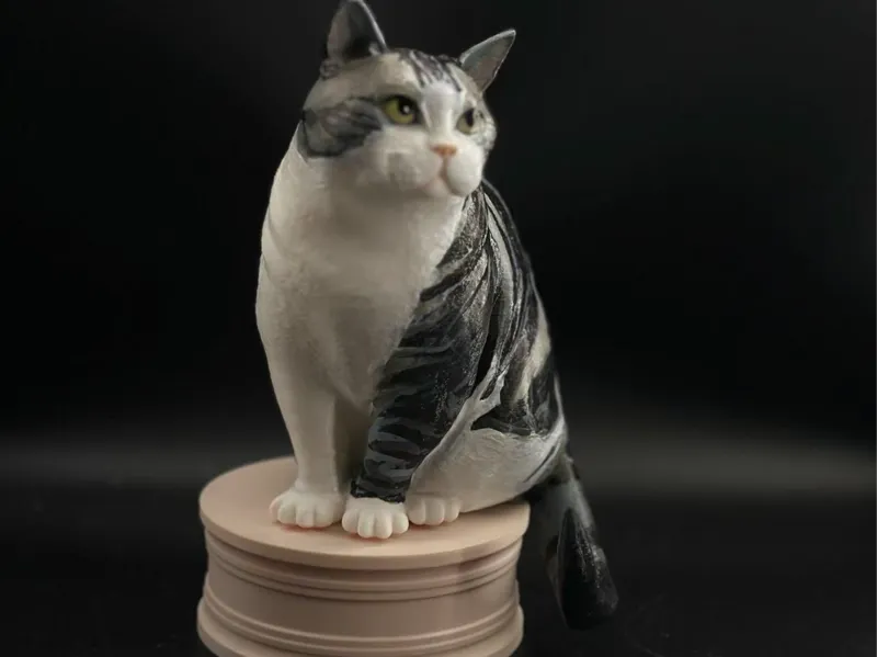 美短猫模型