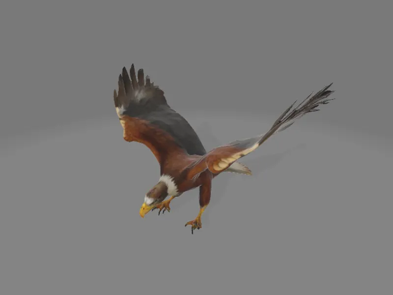 Eagle