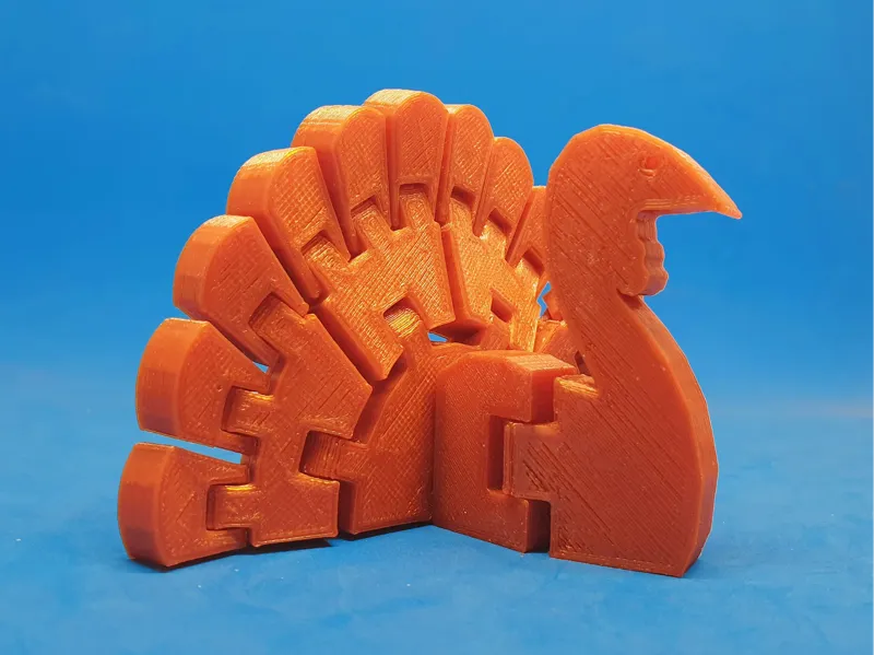 Flexi Turkey