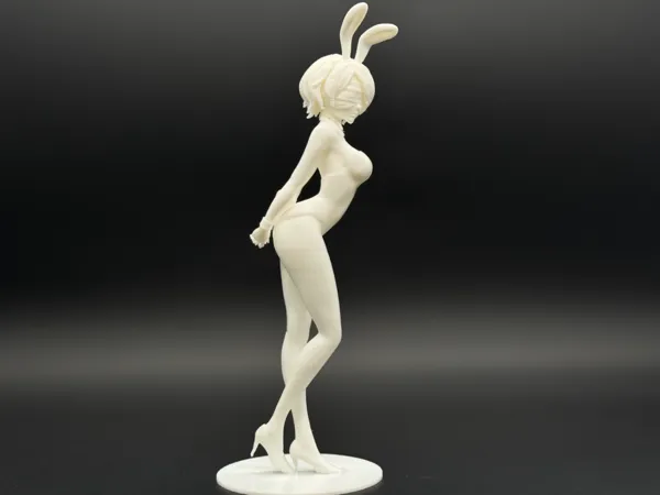 https://makerworld.bblmw.com/makerworld/model/DSM00000002025859/design/2025-11-22_da28f8da8e9788.jpg