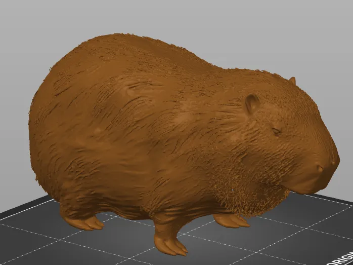 Capybara