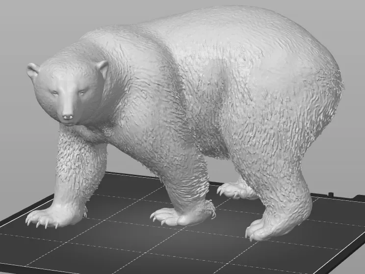 Polar Bear