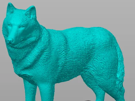 Husky