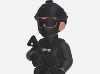 SWAT MODEL 2025