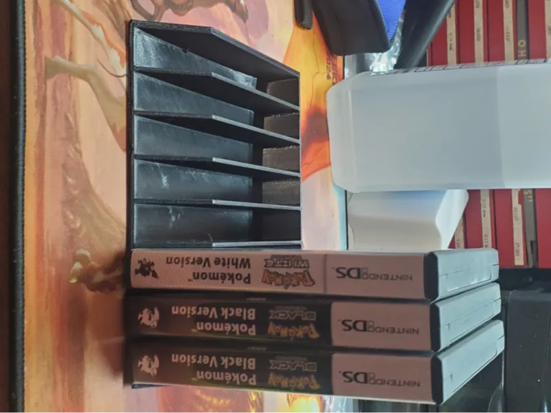 ds case holder 