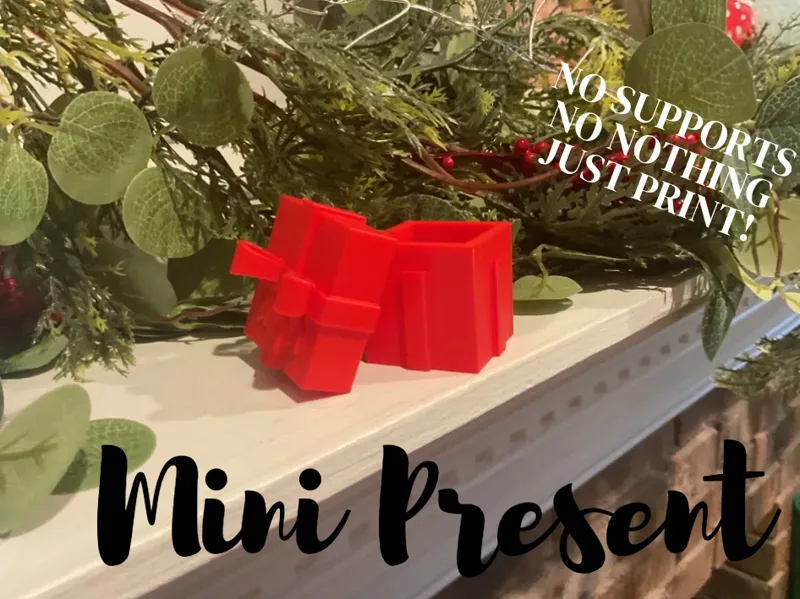 Mini Christmas present