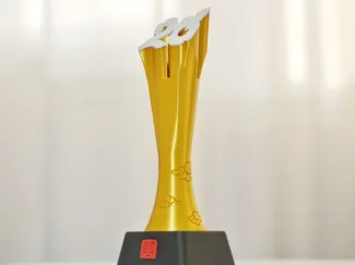 20周年庆奖杯