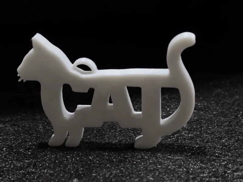 CAT | Simple Cat